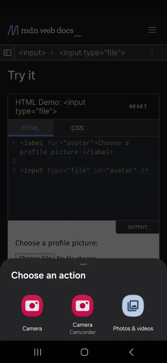 The prompt on Chrome 137 on Android 14 for a plain input type file element