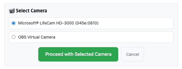 Screenshot showing the camera selection interface with multiple cameras listed
