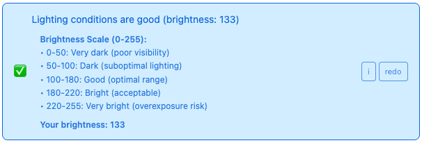Screenshot showing the lighting test result with the brightness value and the expandable explanation